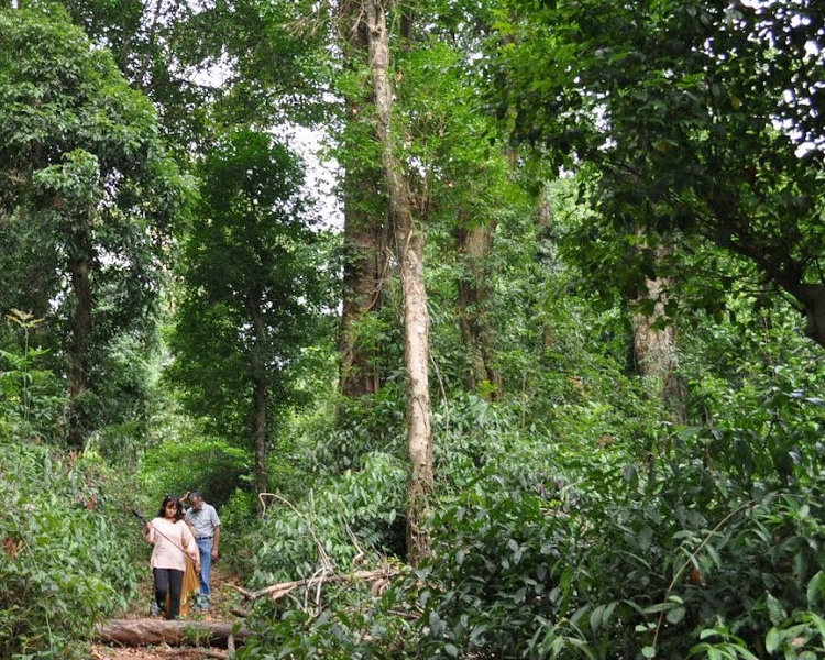 NAture walk