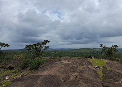 Navilu Gudda