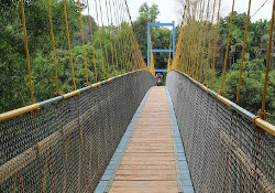 Hanging Bridge