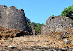 Kalvalediuga