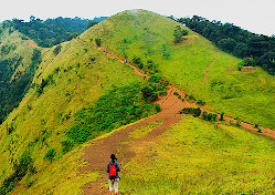 Kodachadri