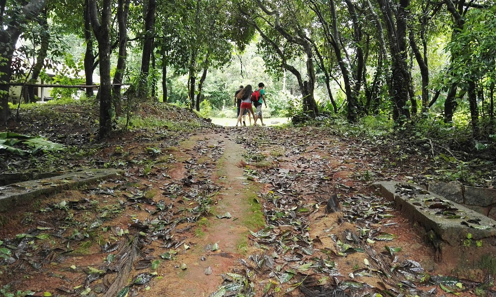 Urbanites in the Western Ghats